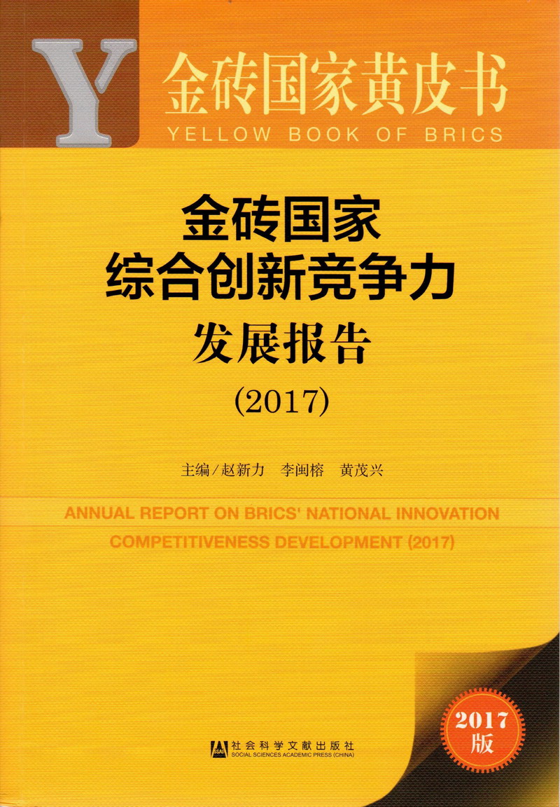 啊啊啊啊我要操我用力视频金砖国家综合创新竞争力发展报告（2017）